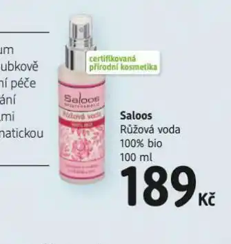 dm drogerie Saloos růžová voda nabídka