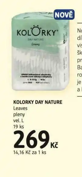 Kolorky day nature leaves pleny