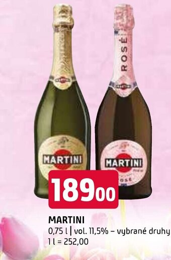 Terno MARTINI 0,75l nabídka