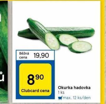 Tesco Okurka hadovka nabídka