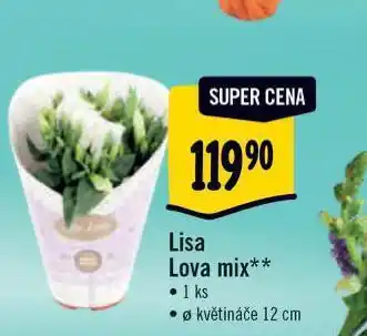 Albert Lisa lova mix nabídka