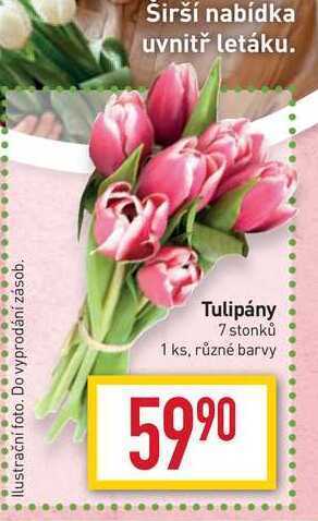 Billa Tulipány 7 stonků 1 ks nabídka