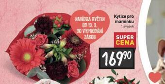 Billa Kytice pro maminku nabídka