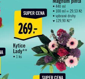 Albert Kytice lady nabídka