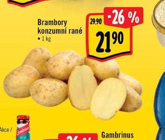 Albert Brambory konzumní rané nabídka