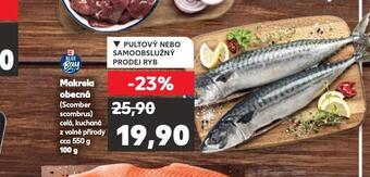 Kaufland Makrela obecná nabídka
