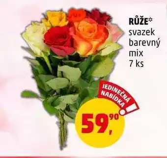Penny Market Růže, 7 ks nabídka