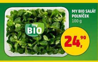 Penny Market My bio salát polníček, 100 g nabídka