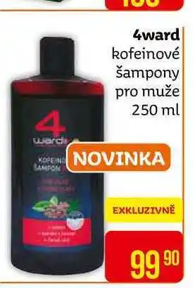 Teta 4ward kofeinový šampon pro muže 250 ml nabídka