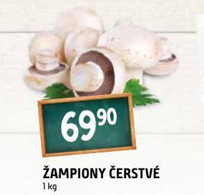 Terno Žampiony čerstvé nabídka