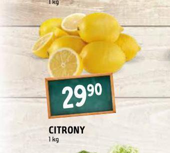 Terno Citrony nabídka