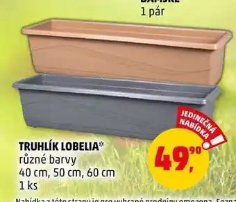 Penny Market Truhlík lobelia, 1 ks nabídka