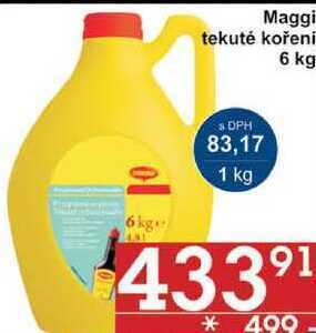 Jip Maggi tekuté koření, 6 kg nabídka