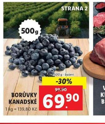 Lidl Borůvky kanadské nabídka