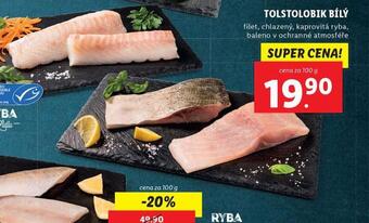 Lidl Tolstolobik bílý nabídka