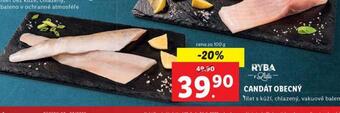 Lidl Candát obecný nabídka