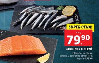Lidl Sardinky obecné nabídka