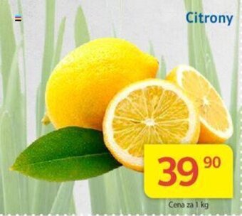 Kubík potraviny Citrony nabídka