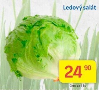 Kubík potraviny Ledový salát nabídka
