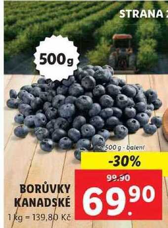 Lidl Borůvky kanadské, 500 g nabídka