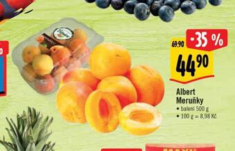 Albert Meruňky nabídka