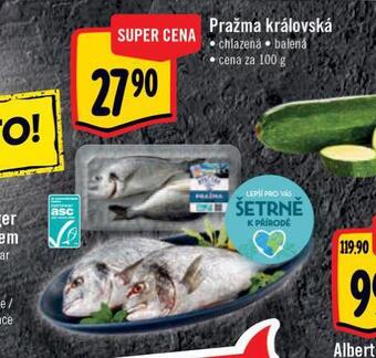 Albert Pražma královská nabídka