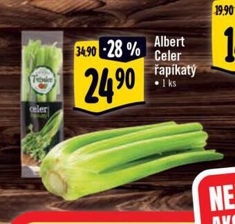 Albert Celer řapíkatý nabídka