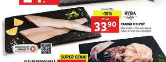 Lidl Candát obecný nabídka