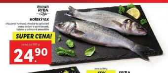 Lidl Mořský vlk nabídka