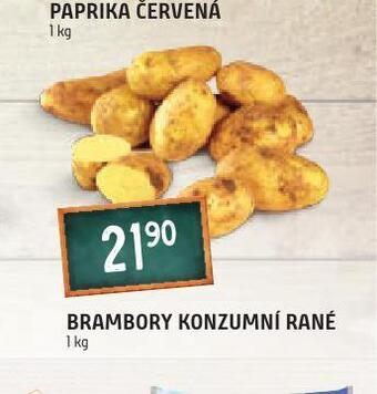 Terno Brambory konzumní rané nabídka