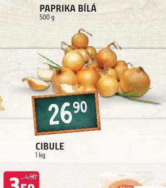 Terno Cibule nabídka