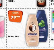 Terno Schauma nabídka