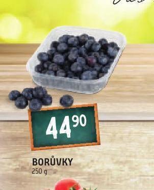 Terno Borůvky nabídka