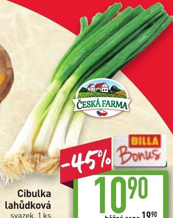 Billa Cibulka lahůdková nabídka