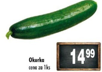 Qanto Okurka nabídka