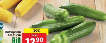 Lidl Bio okurka salátová nabídka