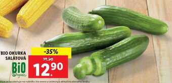 Lidl Bio okurka salátová, 1 ks nabídka