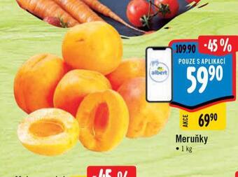 Albert Meruňky nabídka