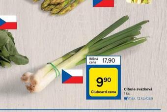 Tesco Cibule svazková nabídka