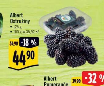 Albert Ostružiny nabídka