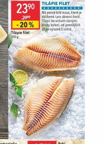 Globus Tilápie filet nabídka