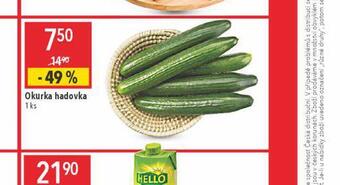 Globus Okurka hadovka nabídka