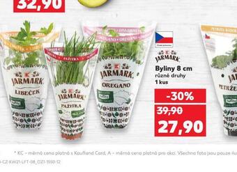 Kaufland Bylinky 8 cm nabídka