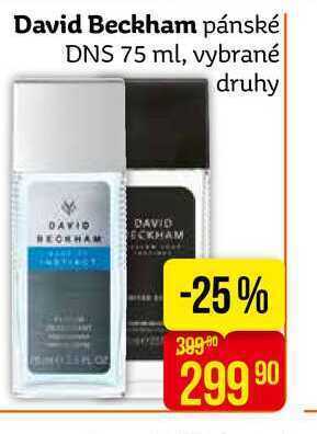 Teta David beckham pánské dns 75 ml nabídka