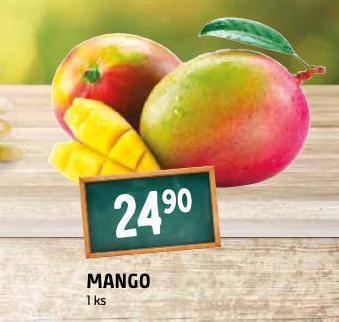Terno Mango nabídka