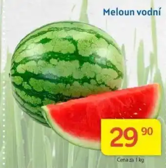 Kubík potraviny Meloun vodní 1kg nabídka