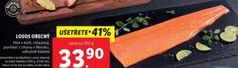 Lidl Losos obecný nabídka