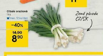 Tesco Cibule svazková nabídka