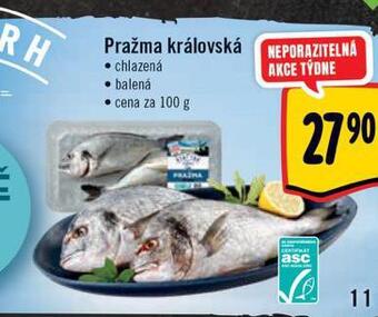 Albert Pražma královská nabídka
