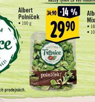 Albert Polniček nabídka